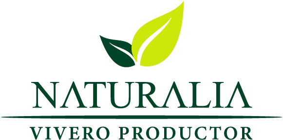 Naturalia, plant nursery