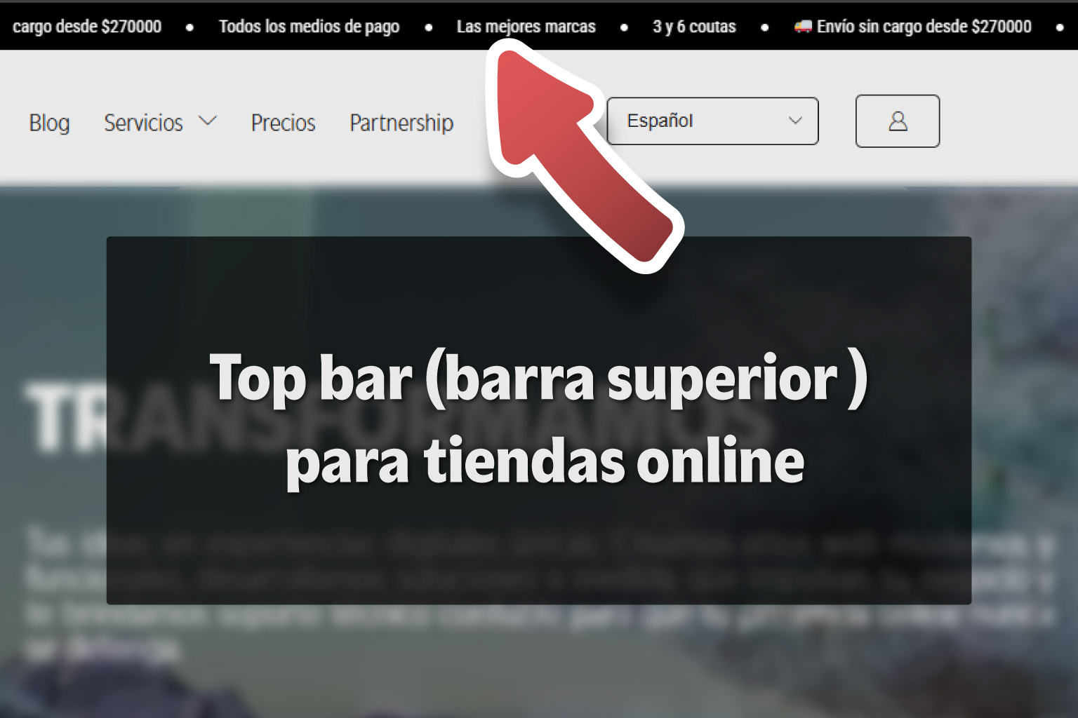Desarrollo web