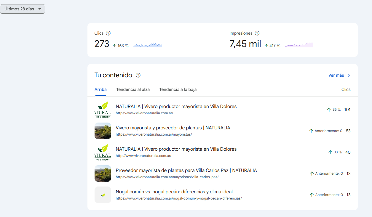 Google Search Console: 273 clics y aproximadamente 7.450 impresiones en los últimos 28 días